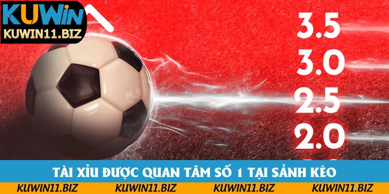 Tài Xỉu được quan tâm số 1 tại sảnh kèo